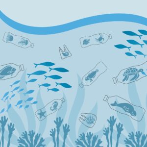 Mehr über den Artikel erfahren Mikroplastik im Meer – Die unsichtbare Gefahr in unseren Ozeanen