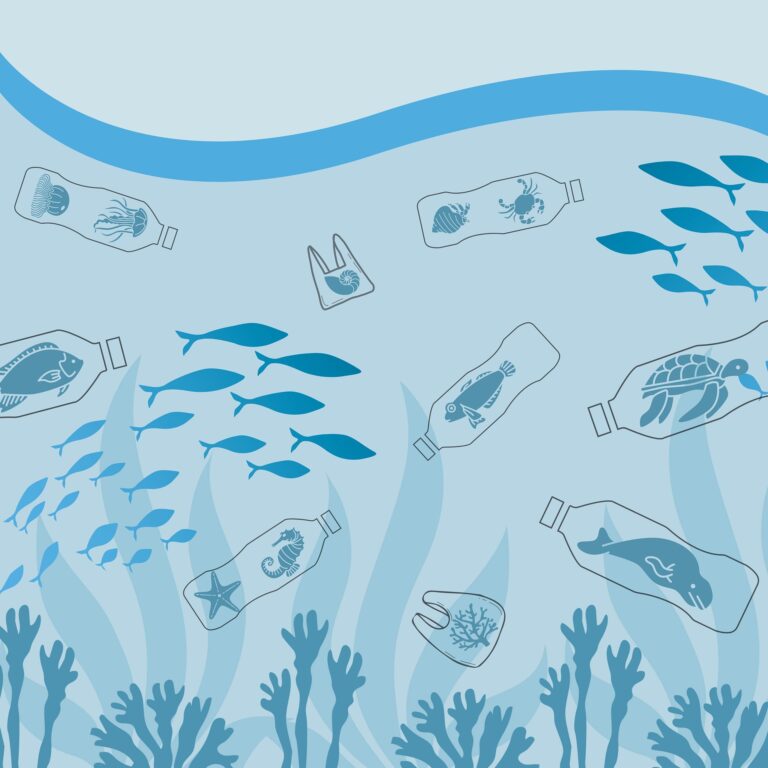 Mehr über den Artikel erfahren Mikroplastik im Meer – Die unsichtbare Gefahr in unseren Ozeanen